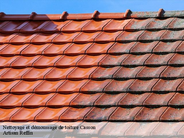 Nettoyage et démoussage de toiture casson-44390 Artisan Reffin