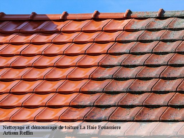 Nettoyage et démoussage de toiture  la-haie-fouassiere-44690 Artisan Reffin