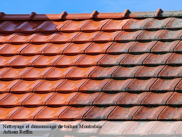 Nettoyage et démoussage de toiture  montrelais-44370 Artisan Reffin