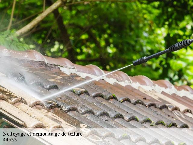 Nettoyage et démoussage de toiture 44522