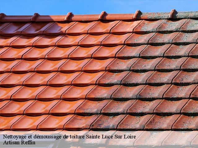 Nettoyage et démoussage de toiture  sainte-luce-sur-loire-44980 Artisan Reffin