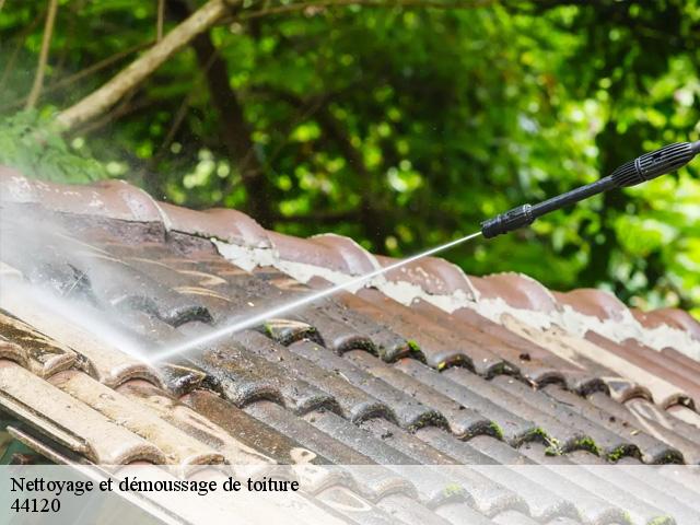 Nettoyage et démoussage de toiture 44120